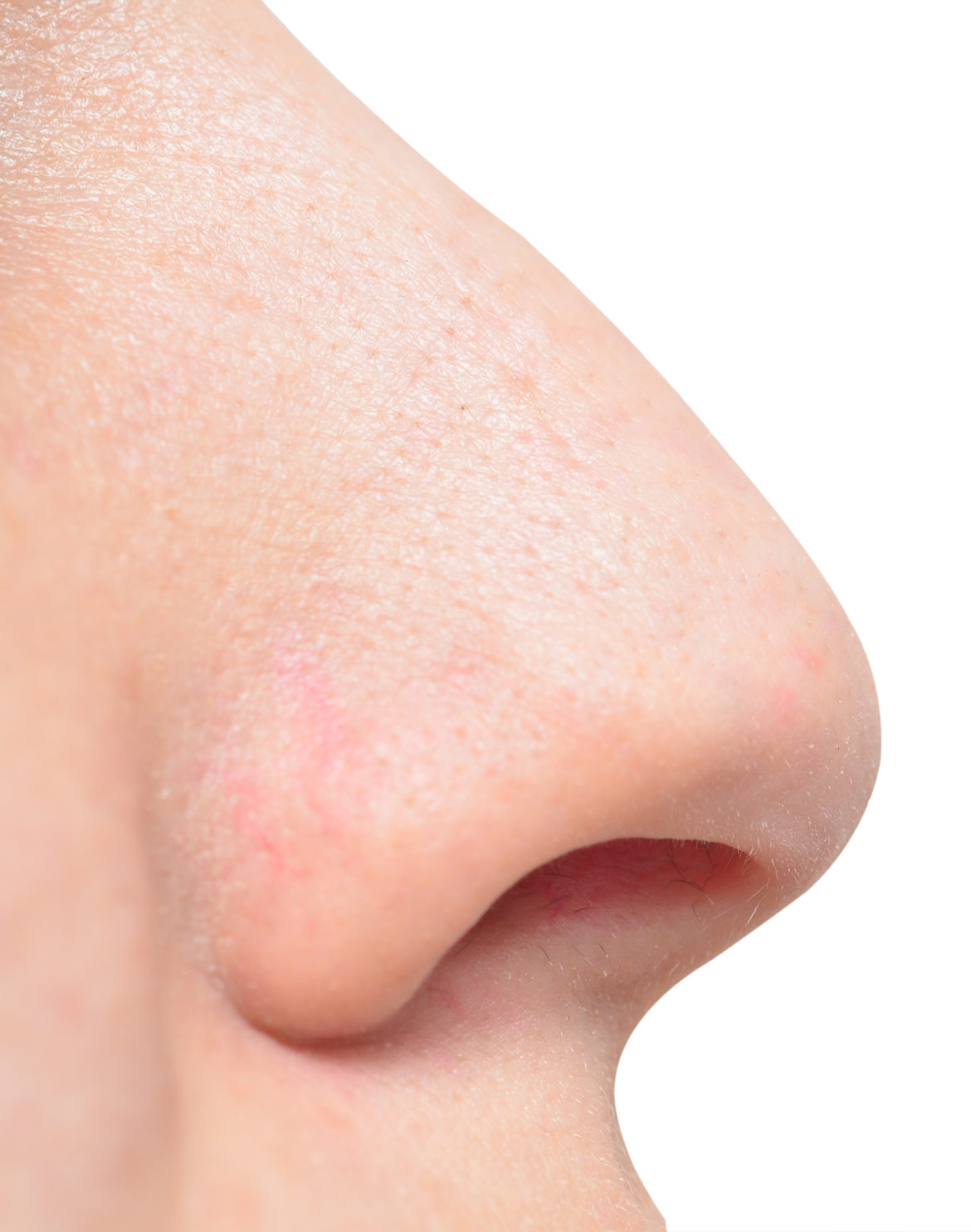 image of human nose