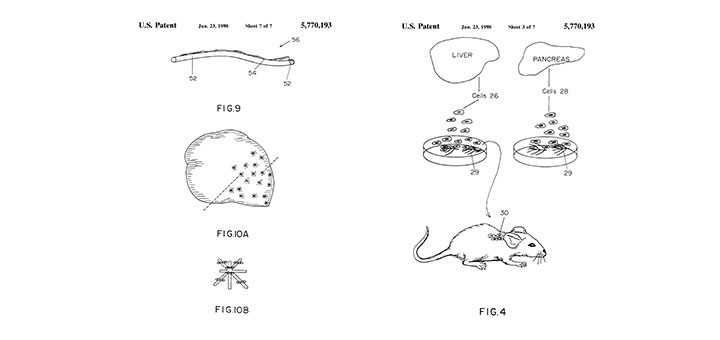 MIT v. Shire Pharmaceuticals Federal Circuit Opinion summary