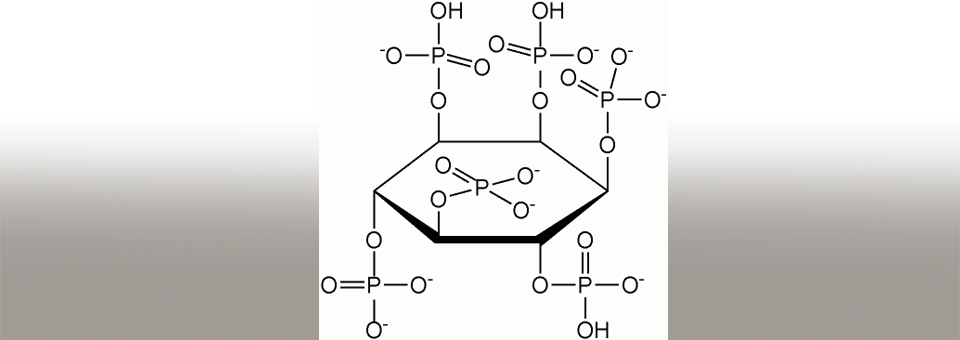 image of chemical structure for phytate